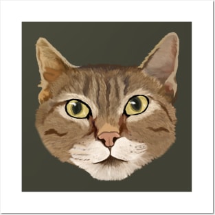 Tabby Cat Drawing Posters and Art